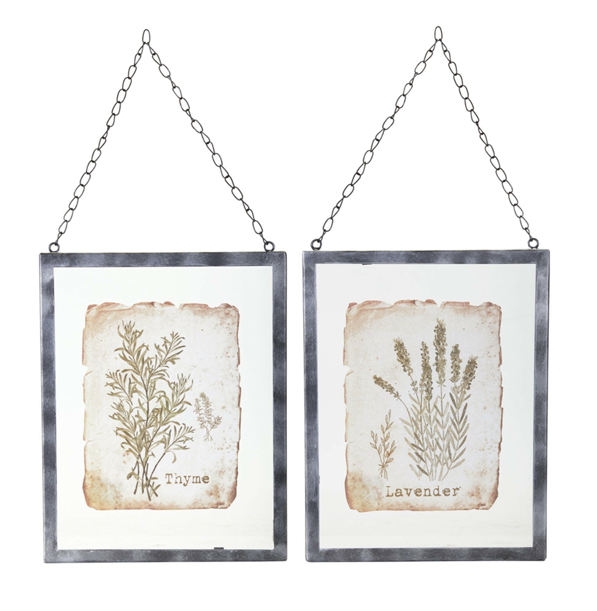 Collection of Lavender/Thyme Frame (Set of 2) 9.5