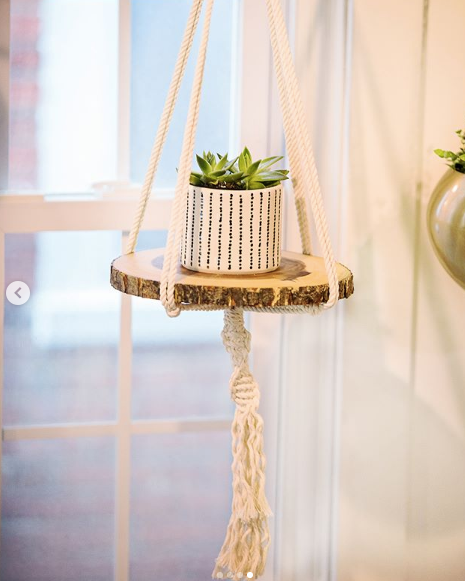 Collection of Macrame Plant Hanger, Macrame Pot Holder, Plant in a gallery layout