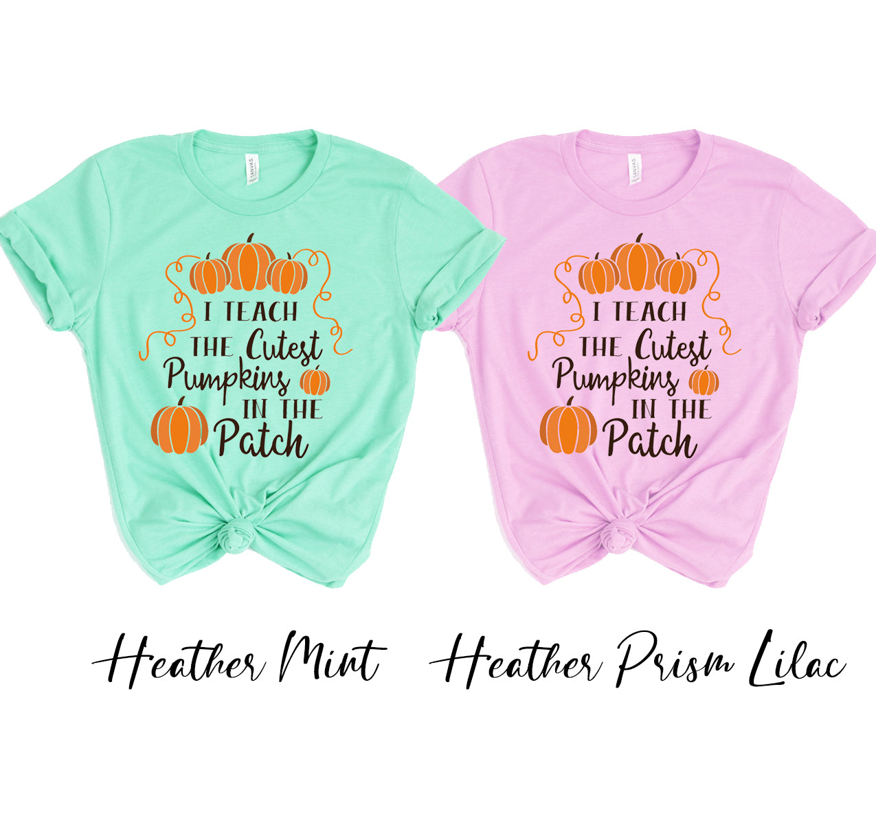 I Teach the cutest pumpkins T-shirt