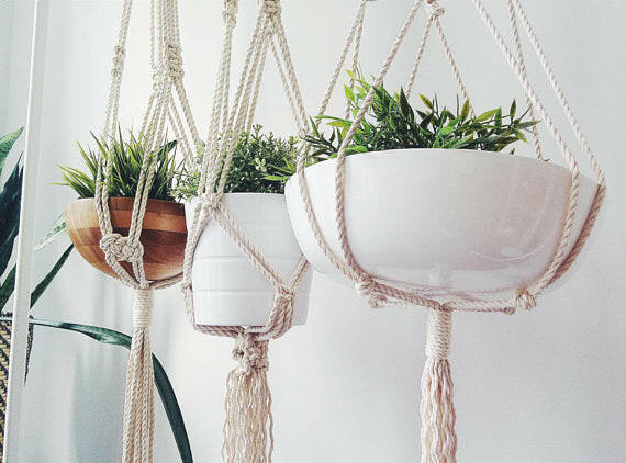 Collection of Macrame Plant Hanger in a gallery layout