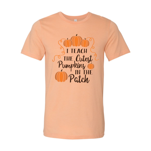 I Teach the cutest pumpkins T-shirt