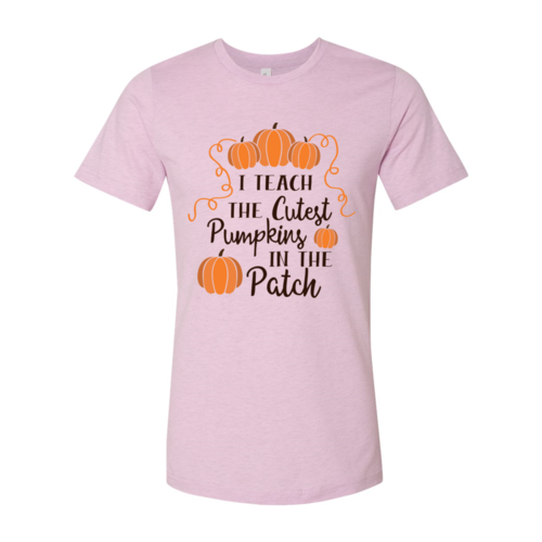 I Teach the cutest pumpkins T-shirt