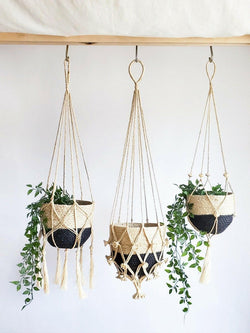 Collection of Plant Hanger - Bitan in a gallery layout